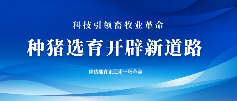 科技引領畜牧業革命：種豬選育開辟新道路 ?