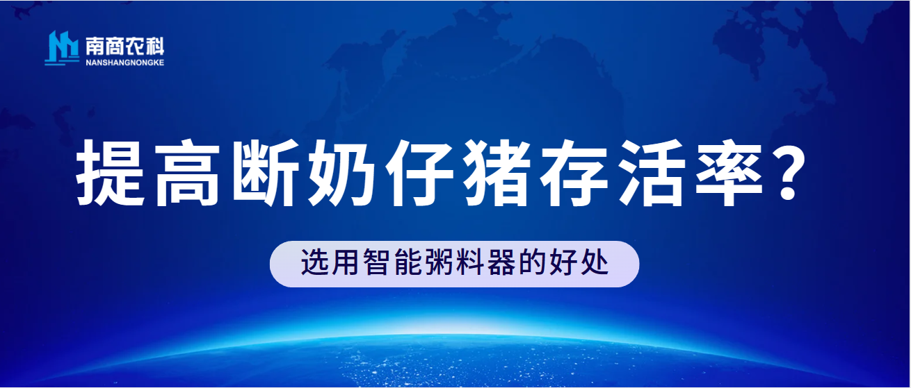 如何提高斷奶仔豬存活率？選用智能粥料器的好處